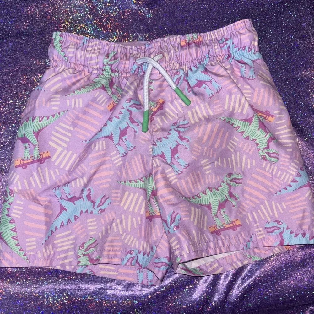 Boys Dinosaur swim trunks